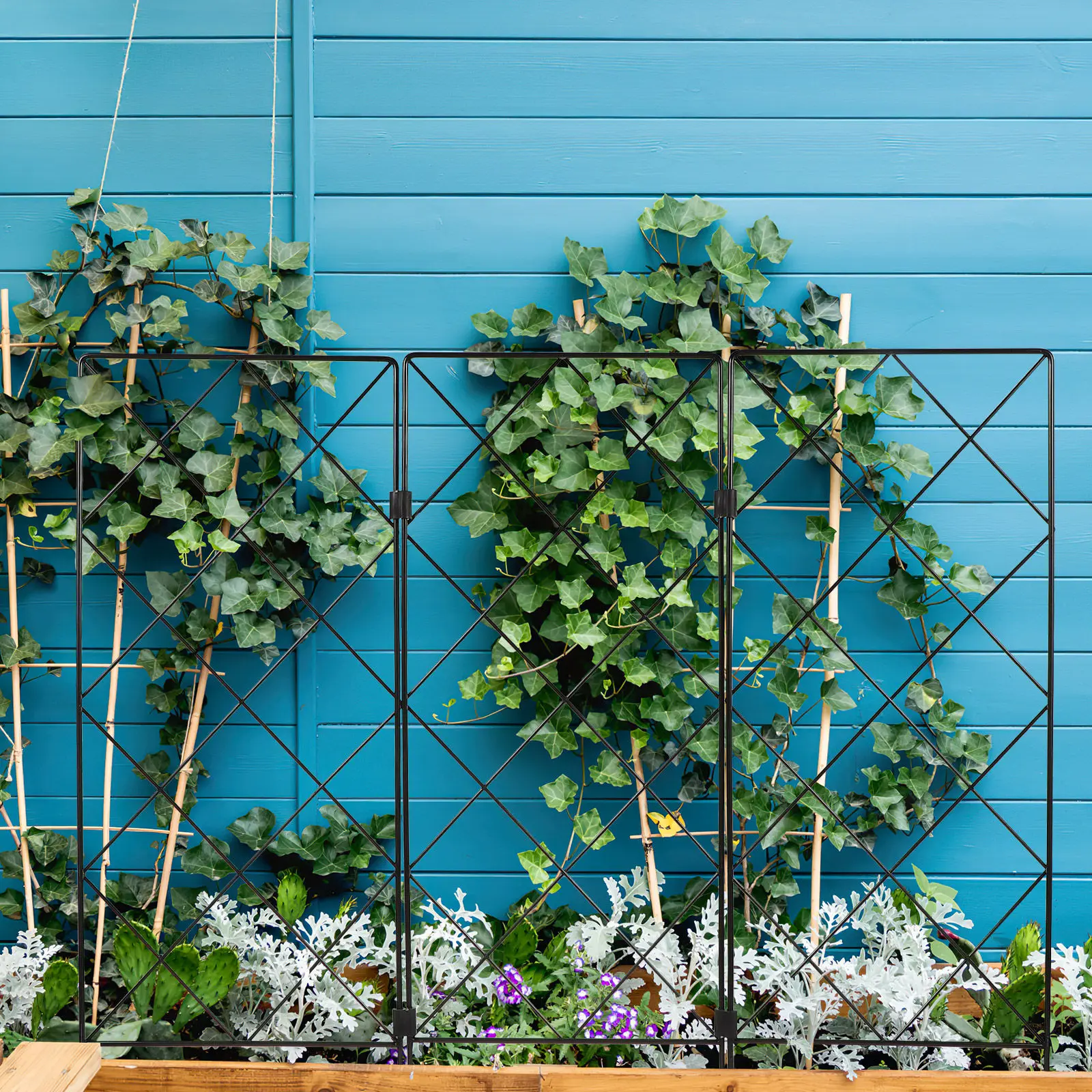 Heavy Duty Foldable Garden Trellis Stand Iron Plant Climbing Rack for Vine Plants Vegetables Fruits Honeysuckle Gourd Cucumber
Heavy Duty Foldable Garden Trellis Stand Iron Plant Climbing Rack for Vine Plants Vegetables Fruits Honeysuckle Gourd Cucumber
