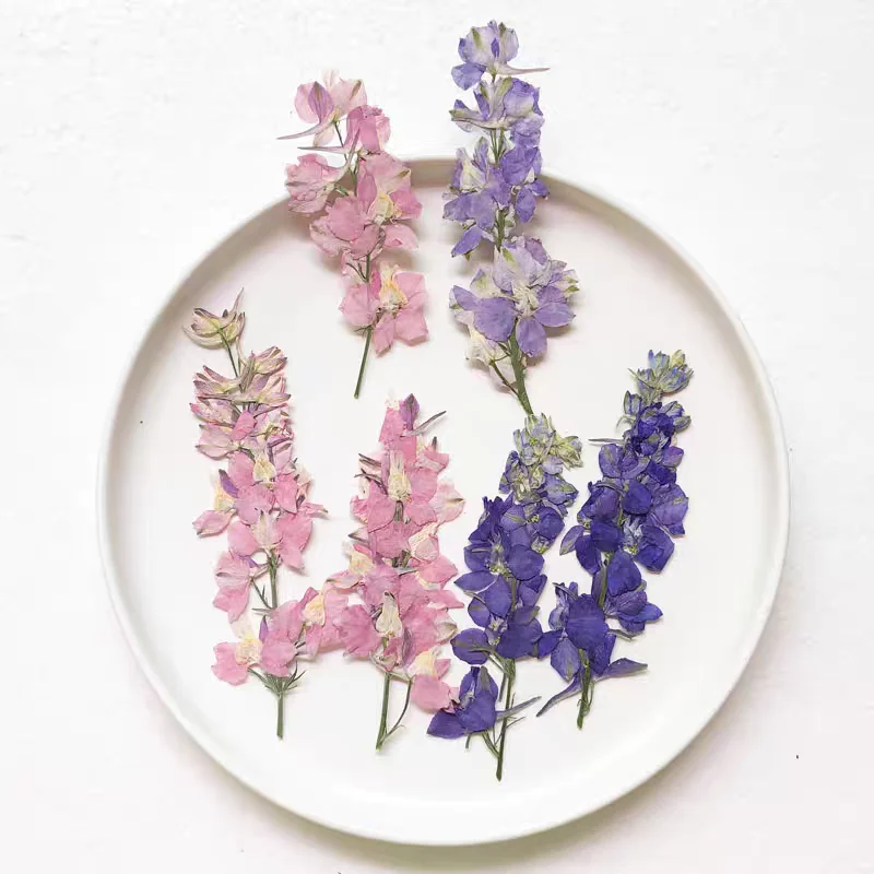 60pcs Pressed Dried Gaura Lindheimeri Flower With Branch For Epoxy Resin Pendant Necklace Jewelry Making Craft DIY Accessories
60pcs Pressed Dried Gaura Lindheimeri Flower With Branch For Epoxy Resin Pendant Necklace Jewelry Making Craft DIY Accessories