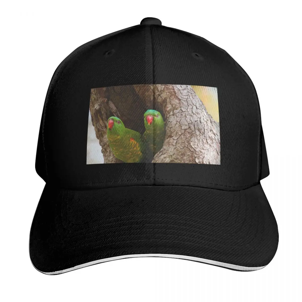 Hello there Baseball Cap sun caps western Hat Gentleman Hat Trucker Cap Women's Men's
Hello there Baseball Cap sun caps western Hat Gentleman Hat Trucker Cap Women's Men's