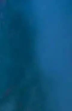 52 В 14S4P аккумулятор 14000 мАч 18650 литиевая батарея с BMS для балансировочного автомобиля, велосипеда, скутера, трехколесного велосипеда
52 В 14S4P аккумулятор 14000 мАч 18650 литиевая батарея с BMS для балансировочного автомобиля, велосипеда, скутера, трехколесного велосипеда