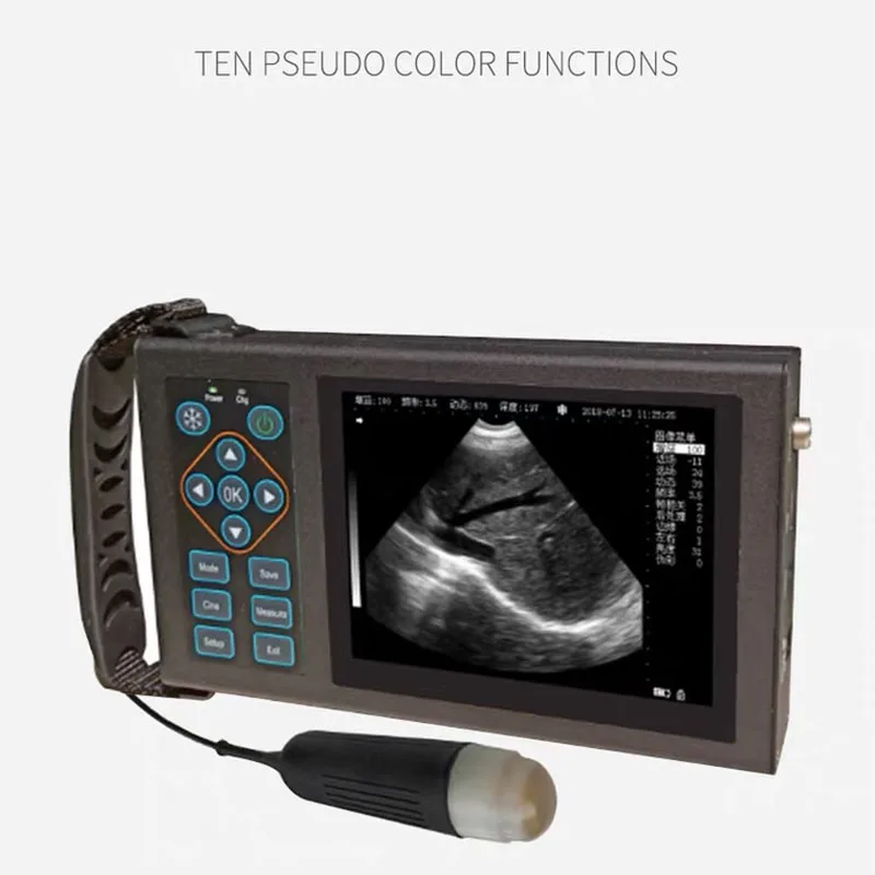 Portable Veterinary Ultrasound Veterinary Ultrasound Animal Pregnancy Ultrasound Scanner Sheep and Pig Factory Outlet
Portable Veterinary Ultrasound Veterinary Ultrasound Animal Pregnancy Ultrasound Scanner Sheep and Pig Factory Outlet