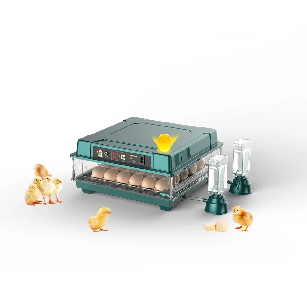 Home Use 30 Egg Hatching Machine Small Automatic Chicks Incubator And Hatcher
Home Use 30 Egg Hatching Machine Small Automatic Chicks Incubator And Hatcher