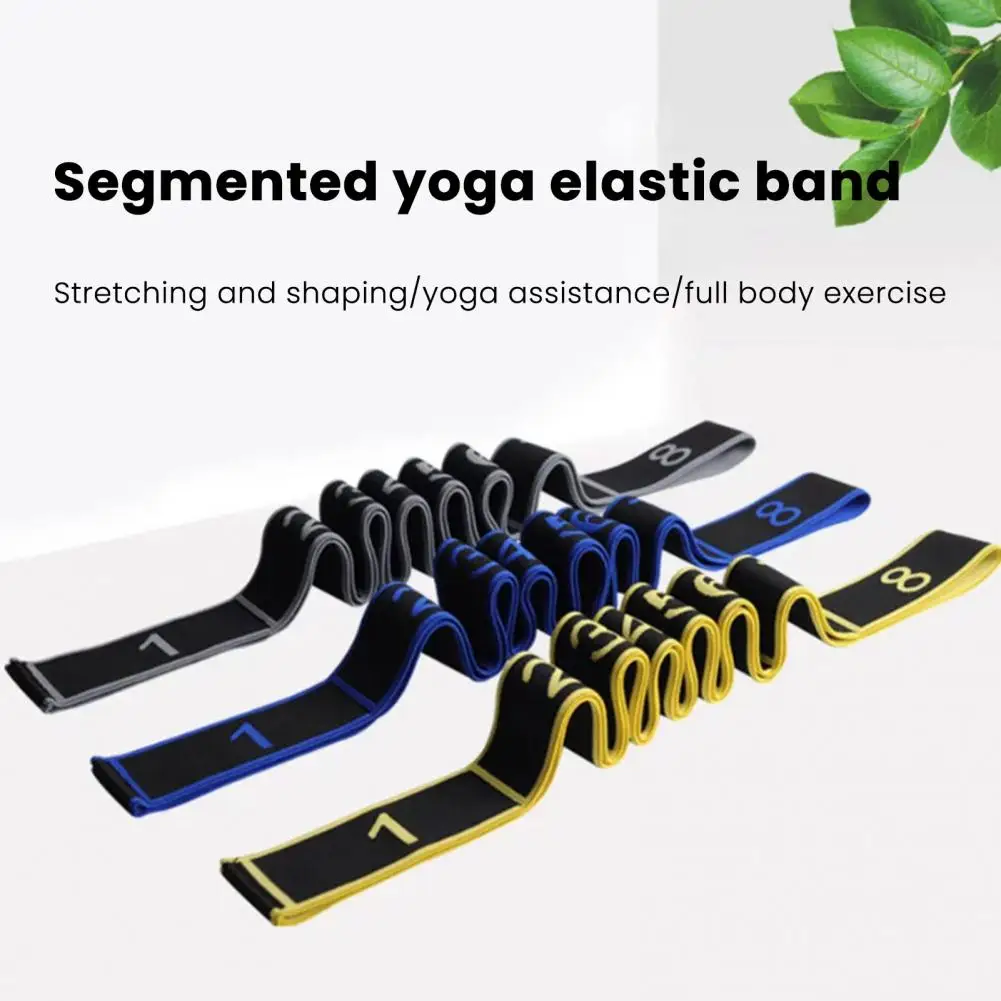 Yoga Stretching Strap with 8 Loop Pilates Ballet Dance Gymnastics Flexibility Training Elastic Band Workout Resistance Band
Yoga Stretching Strap with 8 Loop Pilates Ballet Dance Gymnastics Flexibility Training Elastic Band Workout Resistance Band