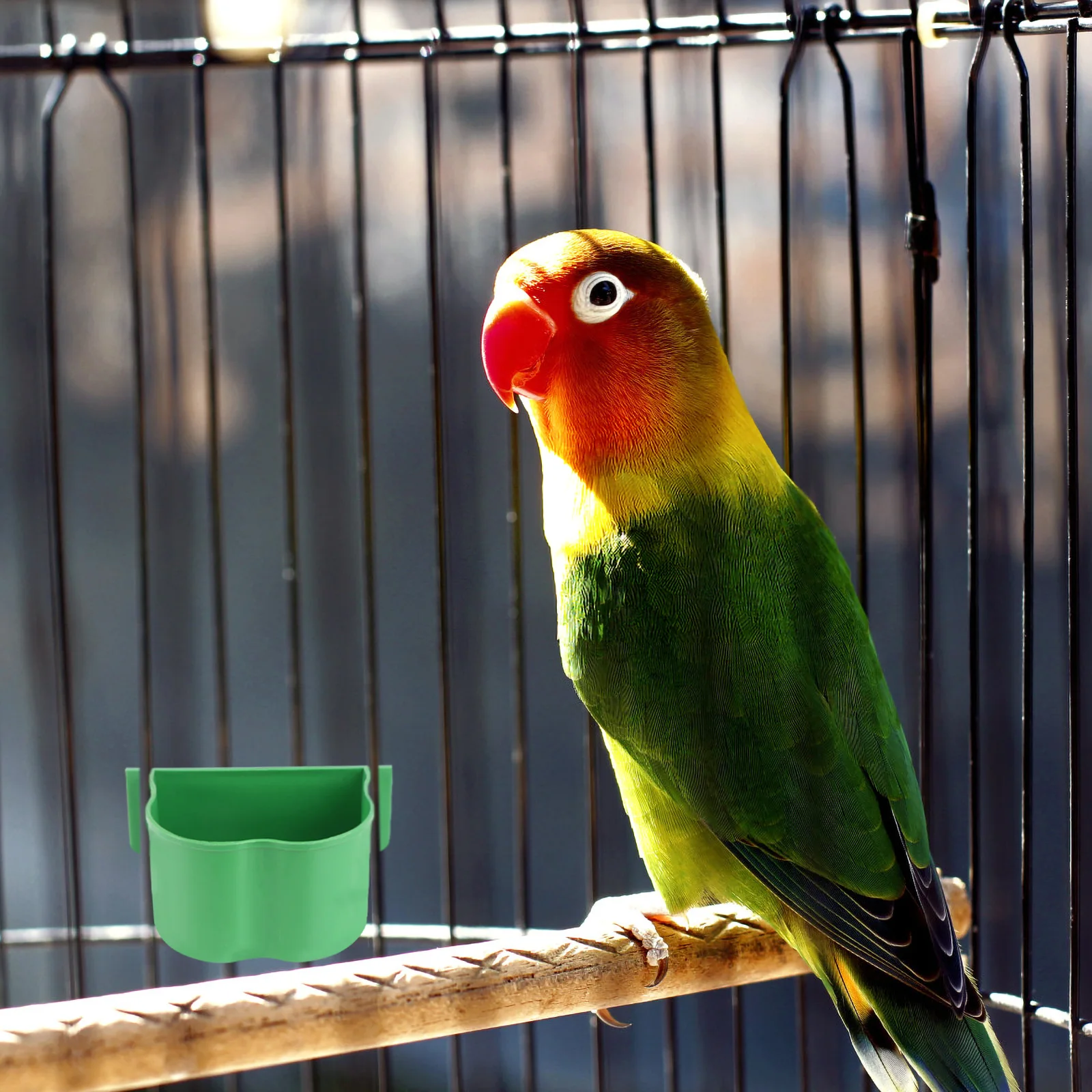 20 PCS Food Bowl Feeding Box Safe Pet Feeder Bird Cage Cups The Dishes for Plastic Accessories Rabbit
20 PCS Food Bowl Feeding Box Safe Pet Feeder Bird Cage Cups The Dishes for Plastic Accessories Rabbit