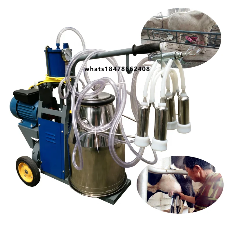 Milk Collection Machine From Cow Milking Machines for Sale
Milk Collection Machine From Cow Milking Machines for Sale