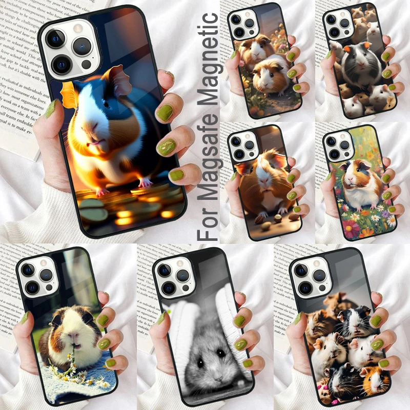Hamster Guinea Pig Magnetic Soft Phone Case for iPhone 16 Promax 15 Pro 13 14 Plus 11 12 Mini MagSafe Coque
Hamster Guinea Pig Magnetic Soft Phone Case for iPhone 16 Promax 15 Pro 13 14 Plus 11 12 Mini MagSafe Coque