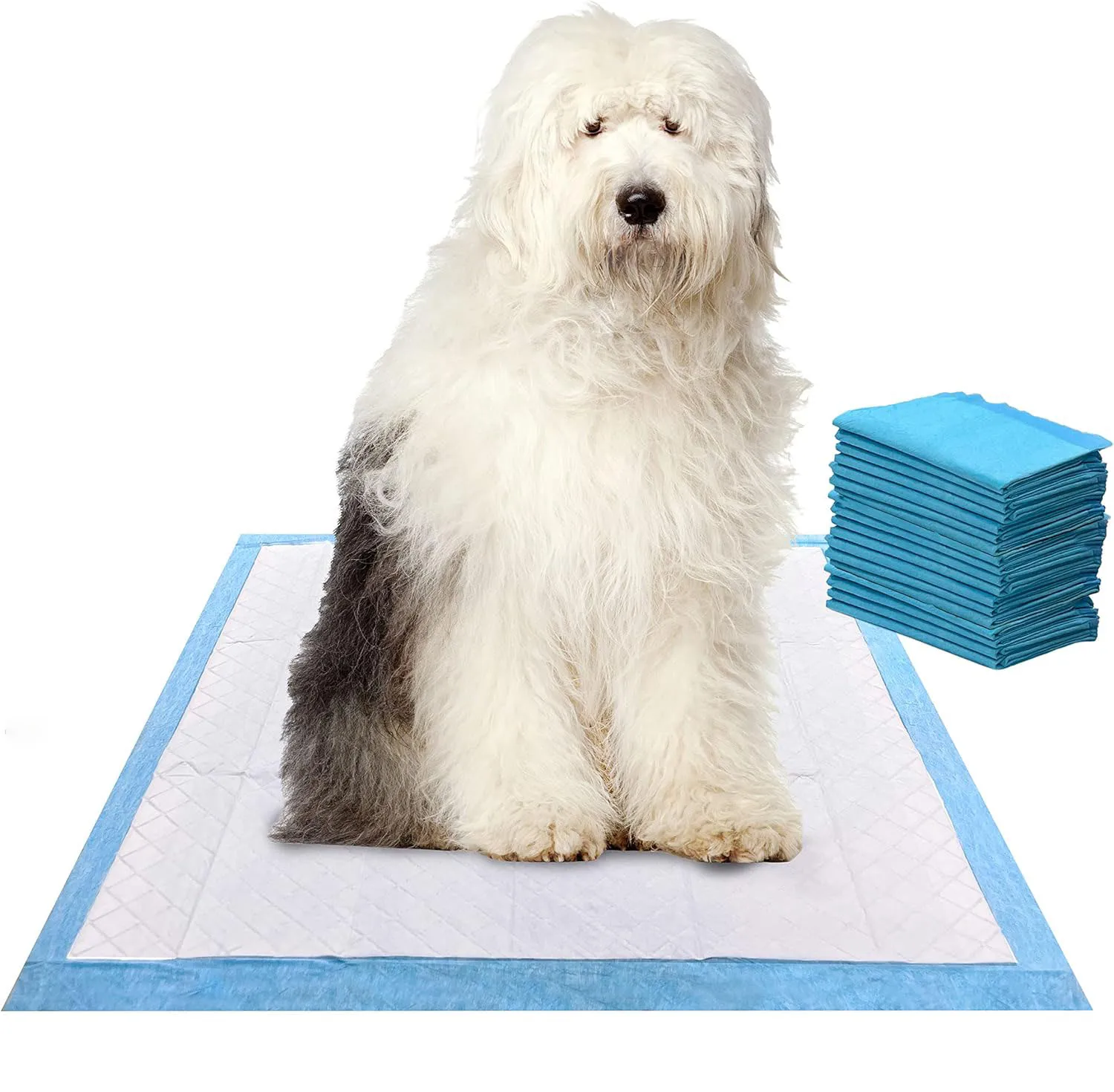 Super-Absorbent Waterproof Dog and Puppy Pet Training Pad Disposable Housebreaking Pet Pad
Super-Absorbent Waterproof Dog and Puppy Pet Training Pad Disposable Housebreaking Pet Pad