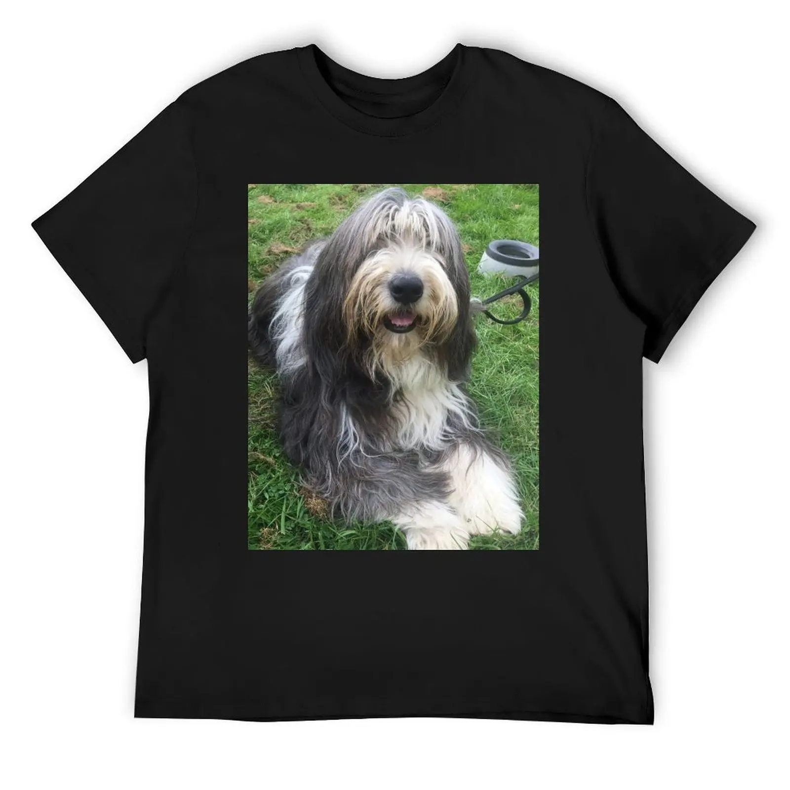 Bearded Collie - Happy Chappy Beardie T-Shirt affliction shirts summer tops graphic tee shirt men t shirt
Bearded Collie - Happy Chappy Beardie T-Shirt affliction shirts summer tops graphic tee shirt men t shirt