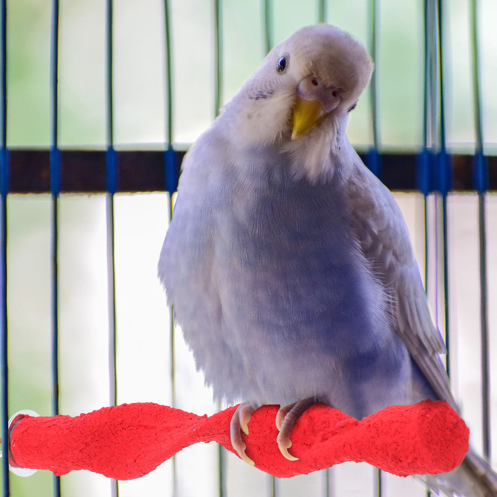 For Birds Natural Beak Nail Trimmer Perch Parrot Parakeet Parakeet Cage Accessories Cage Accessory Bird Stand
For Birds Natural Beak Nail Trimmer Perch Parrot Parakeet Parakeet Cage Accessories Cage Accessory Bird Stand