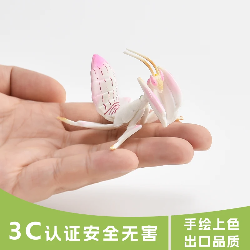 Solid Children'S Simulation Insect Toy Animal Model Orchid Praying Mantis Praying Insect Mimicry Cognitive Gift Ornament
Solid Children'S Simulation Insect Toy Animal Model Orchid Praying Mantis Praying Insect Mimicry Cognitive Gift Ornament