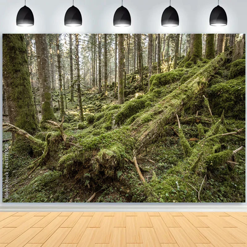 Fallen Trees In Green Virgin Coniferous Forest Photography Backdrops Props Moss Tropical Nature Landscape Theme Background ZL-06
Fallen Trees In Green Virgin Coniferous Forest Photography Backdrops Props Moss Tropical Nature Landscape Theme Background ZL-06