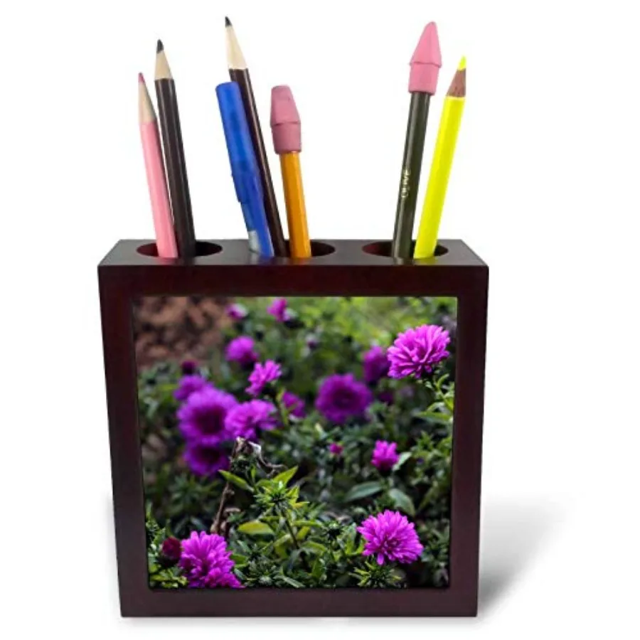 Tile Pen Holder - Photograph of Vibrant Purple Asters Growing in Our Flower Garden. - 5-inches ph_301378_1
Tile Pen Holder - Photograph of Vibrant Purple Asters Growing in Our Flower Garden. - 5-inches ph_301378_1