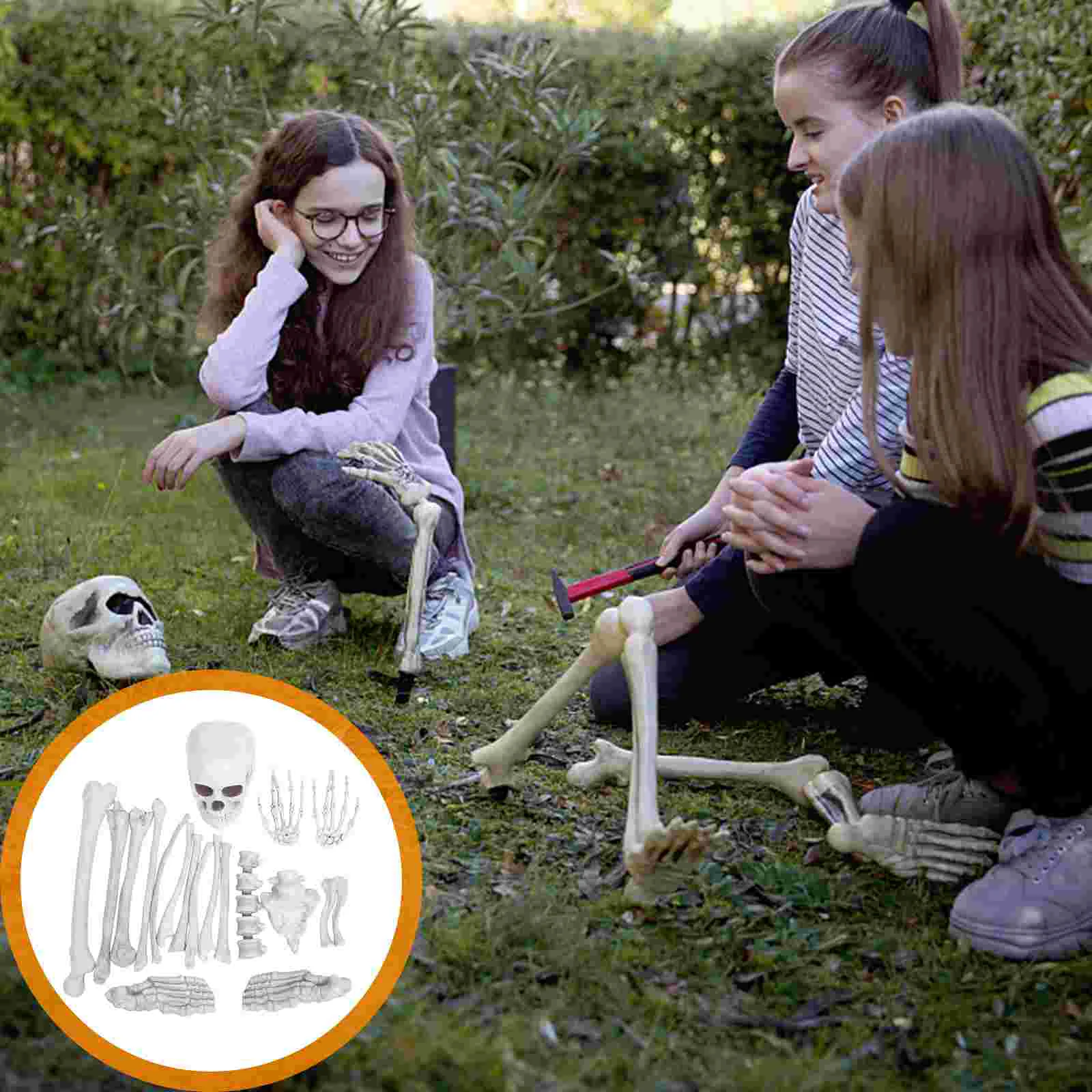 Simulated Plastic Bones Halloween Skulls Decorations Props Graveyard Human Realistic Models Simulation
Simulated Plastic Bones Halloween Skulls Decorations Props Graveyard Human Realistic Models Simulation