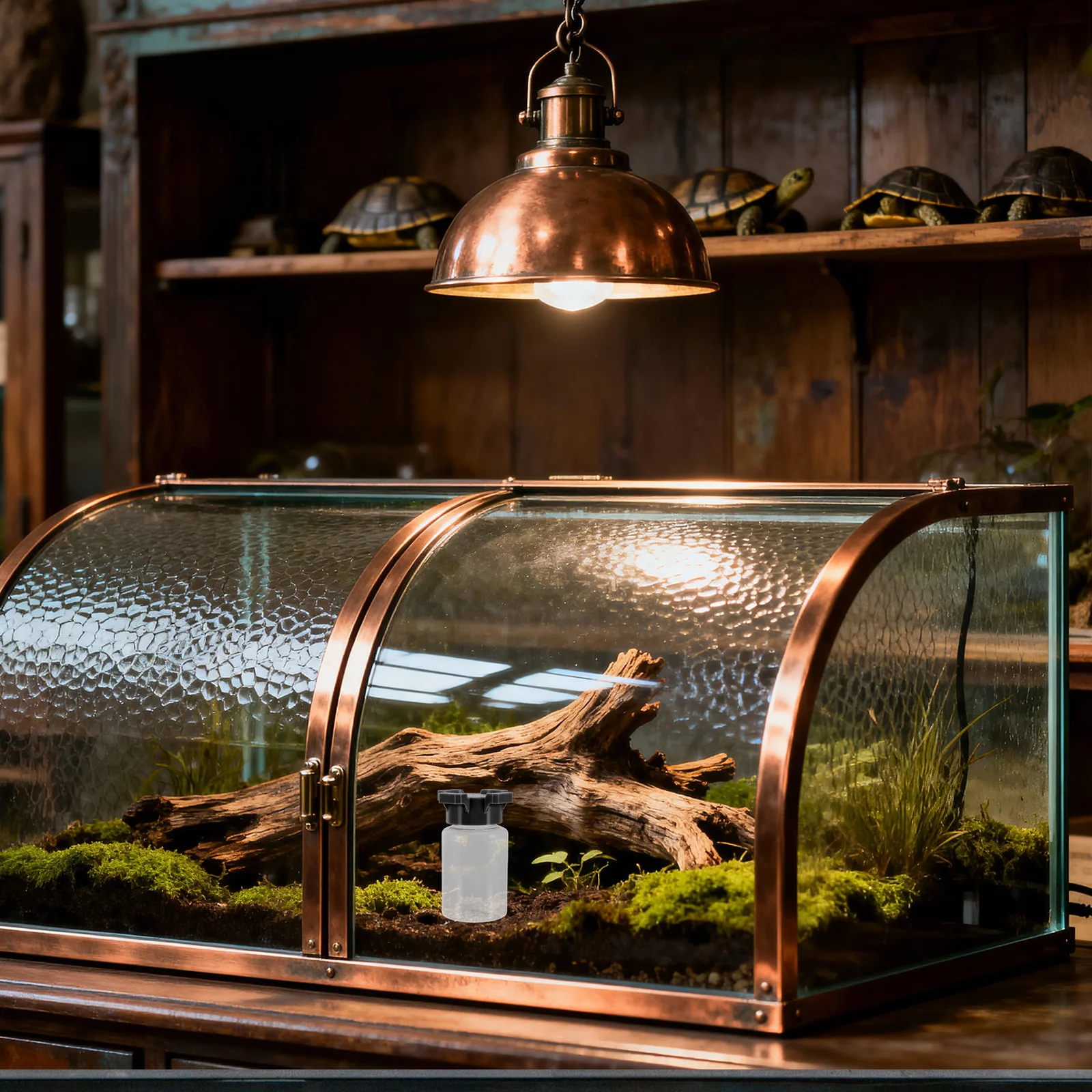 Reptile Water Bowl Multi-Port Feeding Dish for Spiders Crickets Ants Reusable Plastic Hydration Tray Pet Enclosures Insect Water
Reptile Water Bowl Multi-Port Feeding Dish for Spiders Crickets Ants Reusable Plastic Hydration Tray Pet Enclosures Insect Water