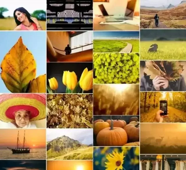 4pcs 63mm 1.0" Metal Beadlock Wheel Tire Set For 1/18 RC Crawler Car SCX24 FMS Ascent-18 Upgrade Parts Accessories
4pcs 63mm 1.0" Metal Beadlock Wheel Tire Set For 1/18 RC Crawler Car SCX24 FMS Ascent-18 Upgrade Parts Accessories