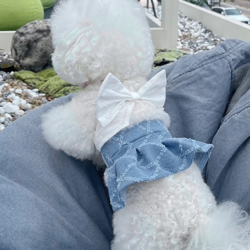 2 Pieces Dog Clothes Set White Big Puppy Bow Top and Blue Denim Ruffle Skirt Dog Dress Summer Outdoor Pet Clothing
2 Pieces Dog Clothes Set White Big Puppy Bow Top and Blue Denim Ruffle Skirt Dog Dress Summer Outdoor Pet Clothing