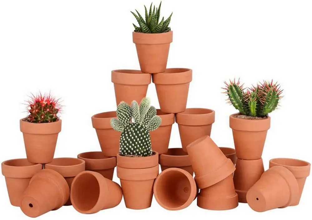 24pcs Mini Clay Pots 2.5'' Terracotta Planters with Drainage Holes for Succulents Cacti Indoor Outdoor
24pcs Mini Clay Pots 2.5'' Terracotta Planters with Drainage Holes for Succulents Cacti Indoor Outdoor
