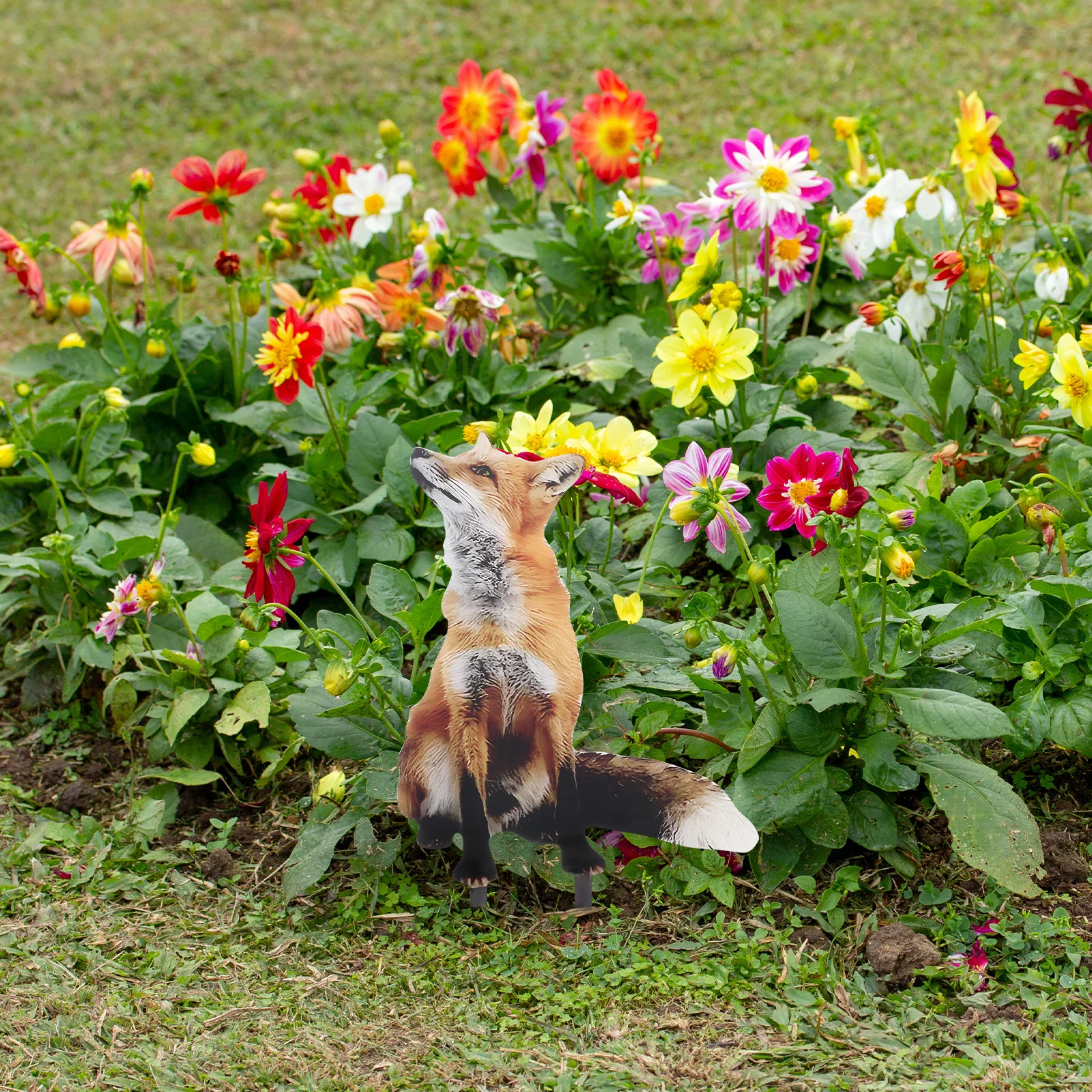 Fox Shaped Lawn Sign Charming Acrylic Garden Decor for Outdoor Yard Pathway Wildlife Theme Stake Decoration Accessory
Fox Shaped Lawn Sign Charming Acrylic Garden Decor for Outdoor Yard Pathway Wildlife Theme Stake Decoration Accessory