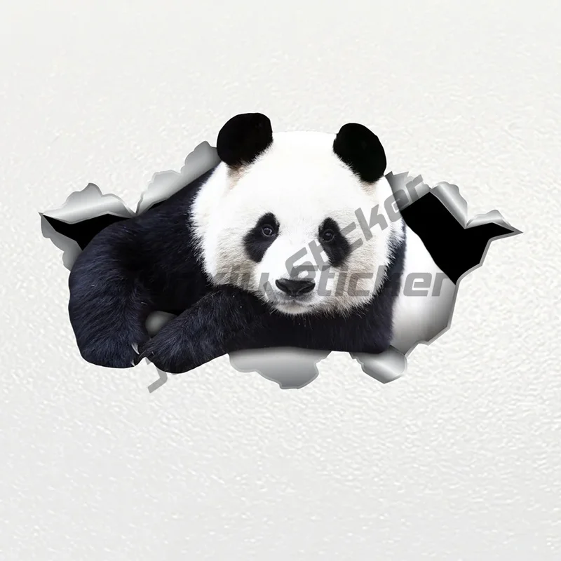 Car Sticker Panda Pet Animal Waterproof Vinyl Decal Car Accessories Decor Pegatinas Para Coche
Car Sticker Panda Pet Animal Waterproof Vinyl Decal Car Accessories Decor Pegatinas Para Coche