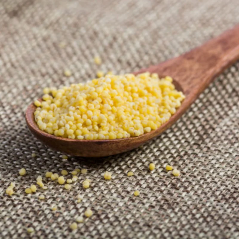 4PCS SCY 16102Pro 16104 Pro SG116 Pro MJX Hyper Go16208 H16BM 14210 H14BM Wltoys124017 124008 RC Car Off Road Wheels
4PCS SCY 16102Pro 16104 Pro SG116 Pro MJX Hyper Go16208 H16BM 14210 H14BM Wltoys124017 124008 RC Car Off Road Wheels 