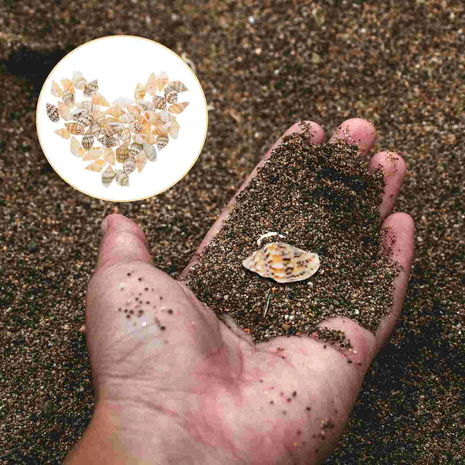 50 Pcs Simulation Shell Small Shells for Crafts DIY Decoration Beach Conch Ornament
50 Pcs Simulation Shell Small Shells for Crafts DIY Decoration Beach Conch Ornament