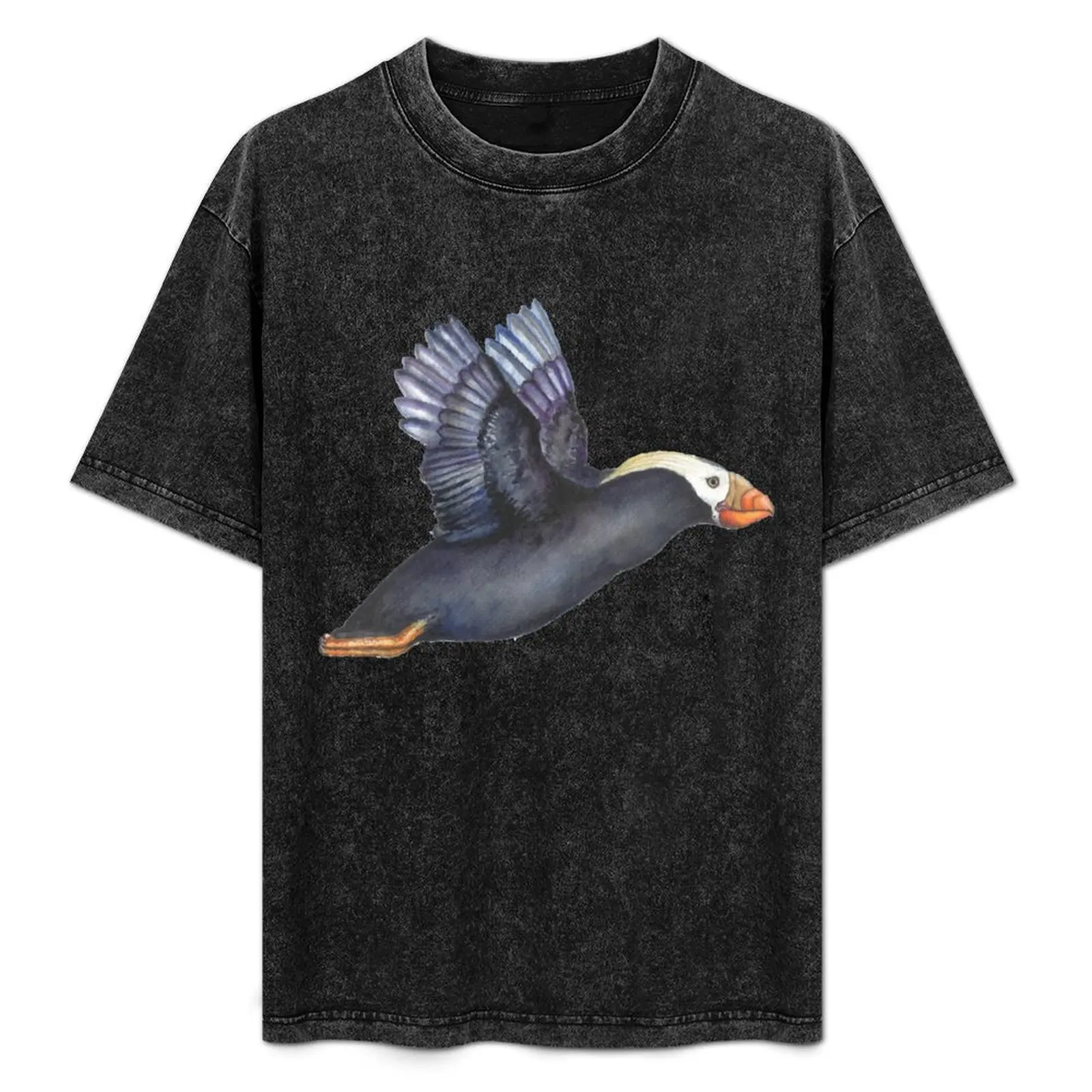 Tufted Puffin Taking Flight T-Shirt Regular Fit Plain Tee Shirt
Tufted Puffin Taking Flight T-Shirt Regular Fit Plain Tee Shirt