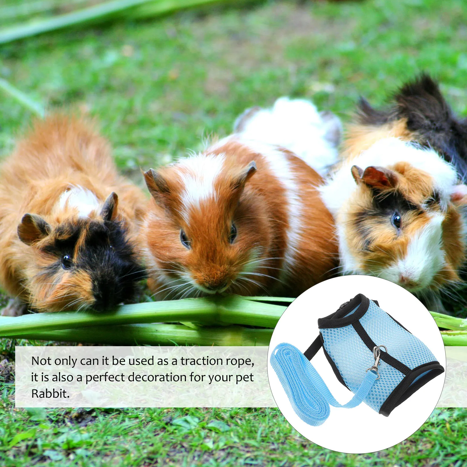 Guinea Pig Clothes Hamster Leash Decoration Ropes Pulling Strap Rabbit Vest Sweater Pet Traction Rope Anti Lost Portable Long
Guinea Pig Clothes Hamster Leash Decoration Ropes Pulling Strap Rabbit Vest Sweater Pet Traction Rope Anti Lost Portable Long