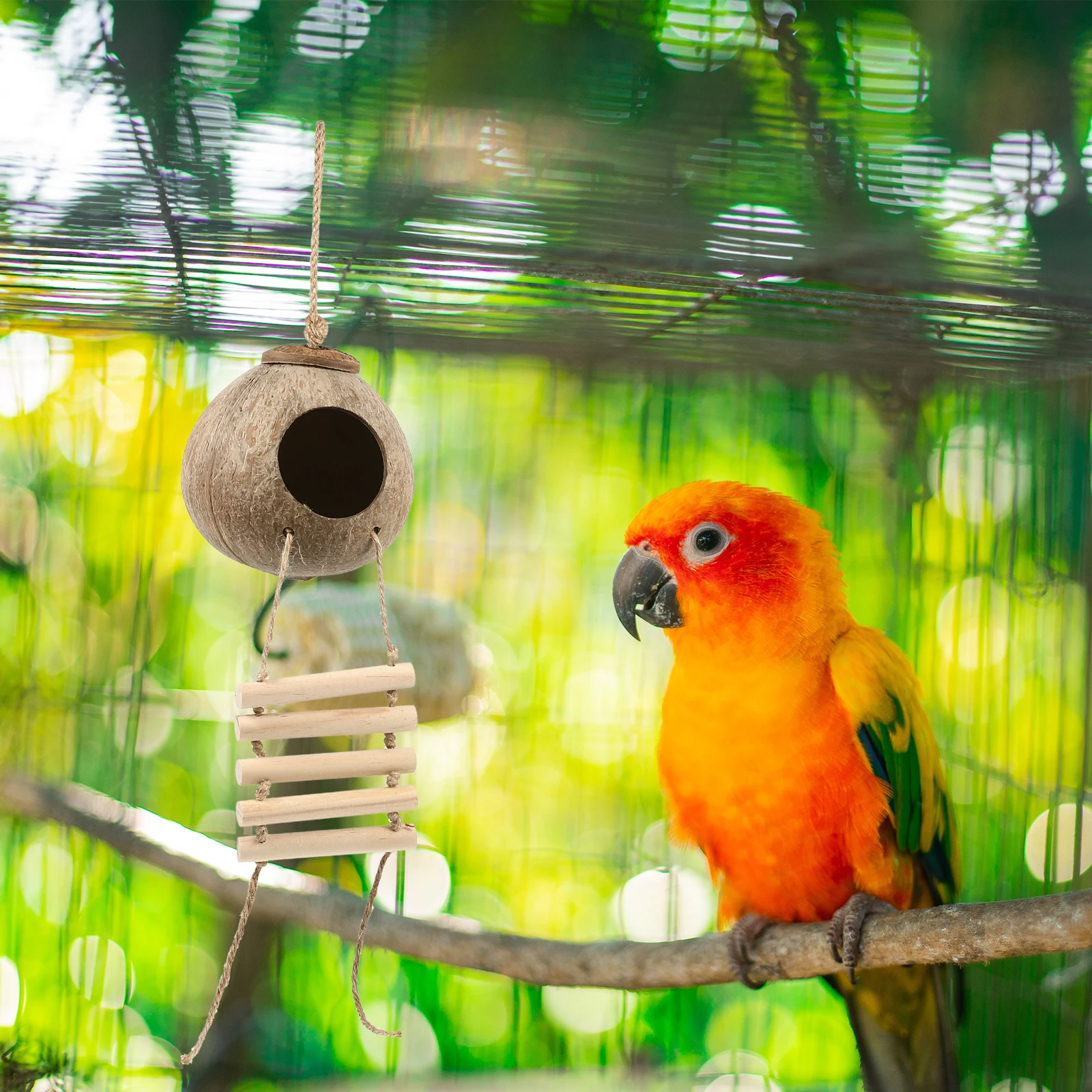 Coconut Shell Bird Nest Breeding Birdcage Hanging House Wooden Bird House Pet Decorative Scene Resting Bed Sleeping Nest
Coconut Shell Bird Nest Breeding Birdcage Hanging House Wooden Bird House Pet Decorative Scene Resting Bed Sleeping Nest