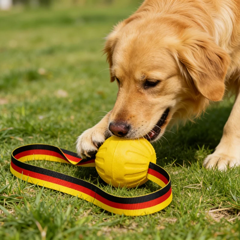 Hot sale EVA pet toy training ball border collie small medium and large dog training dog toy dog molar bite resistant
Hot sale EVA pet toy training ball border collie small medium and large dog training dog toy dog molar bite resistant