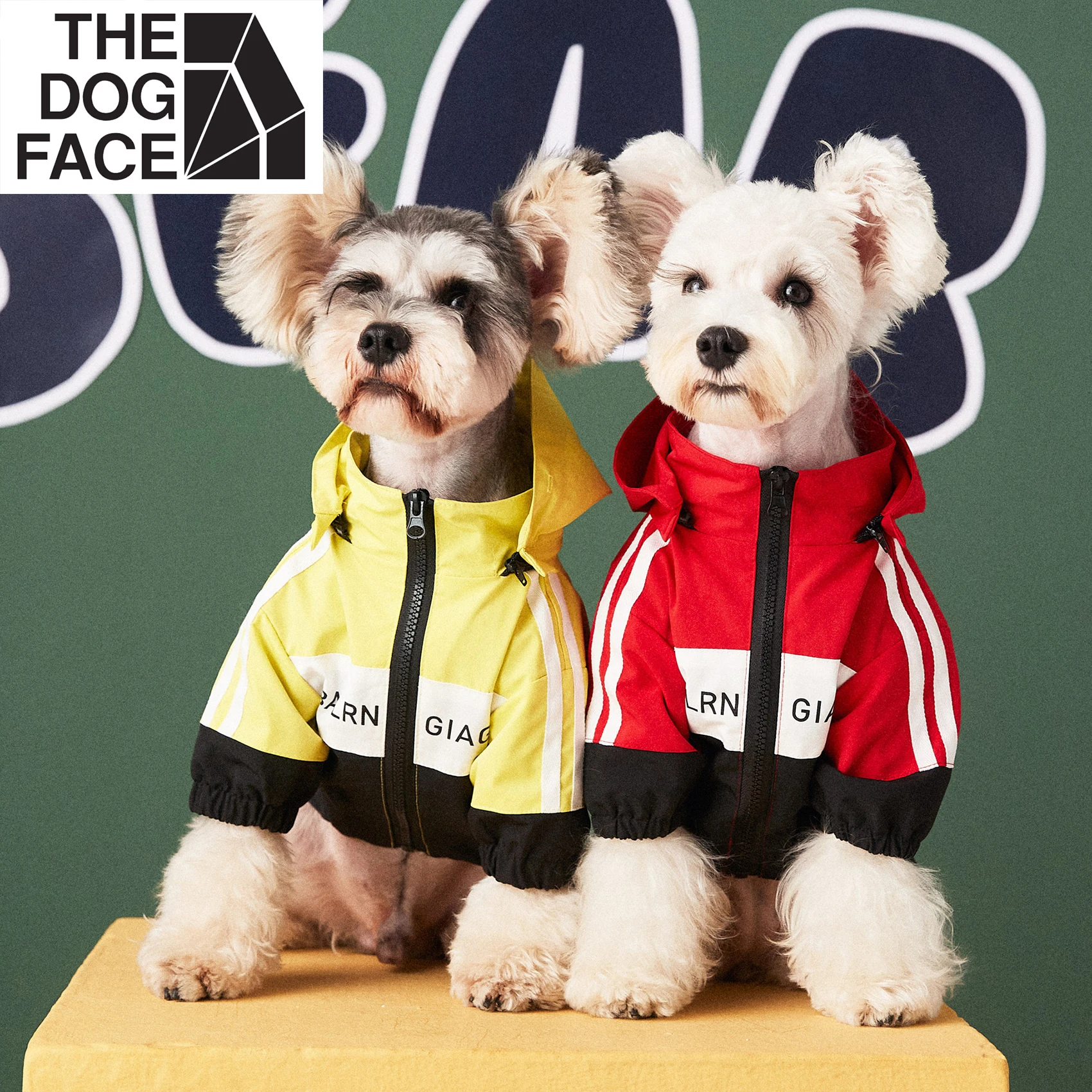 Print Polyester Raincoat Waterproof Dog Clothes Comfortable Coustum For Lovely Puppy Cute Dogs Fashion Pet Accessories Supplier
Print Polyester Raincoat Waterproof Dog Clothes Comfortable Coustum For Lovely Puppy Cute Dogs Fashion Pet Accessories Supplier
