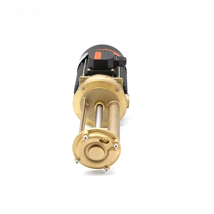 Import Accessories Excellent Stability Many Mediums High Temperature Vertical Pump
Import Accessories Excellent Stability Many Mediums High Temperature Vertical Pump