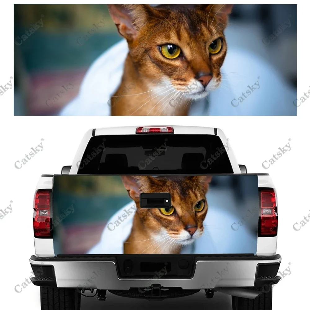 Cat Abyssinian Car stickers rear modification accessories vinyl suitable for cars trucks off-road vehicles SUV stickers
Cat Abyssinian Car stickers rear modification accessories vinyl suitable for cars trucks off-road vehicles SUV stickers