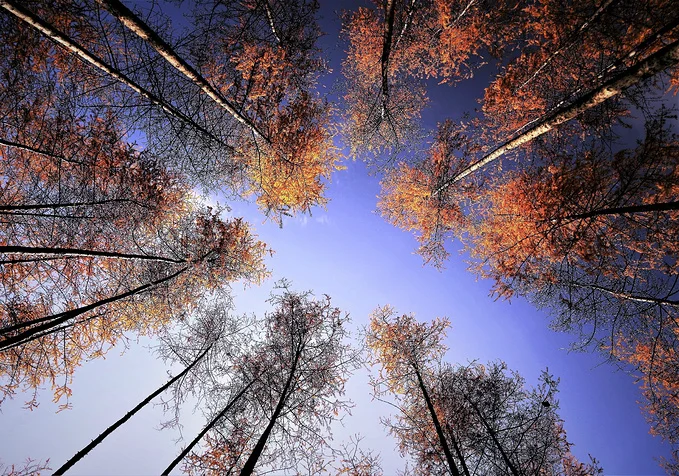 Metal Adjustable Front Bumper For 1/10 Trax Trx4 Trx-4 Defender Axial SCX10 90046 EX86100 Redcat GEN 8 RC Crawler Car
Metal Adjustable Front Bumper For 1/10 Trax Trx4 Trx-4 Defender Axial SCX10 90046 EX86100 Redcat GEN 8 RC Crawler Car