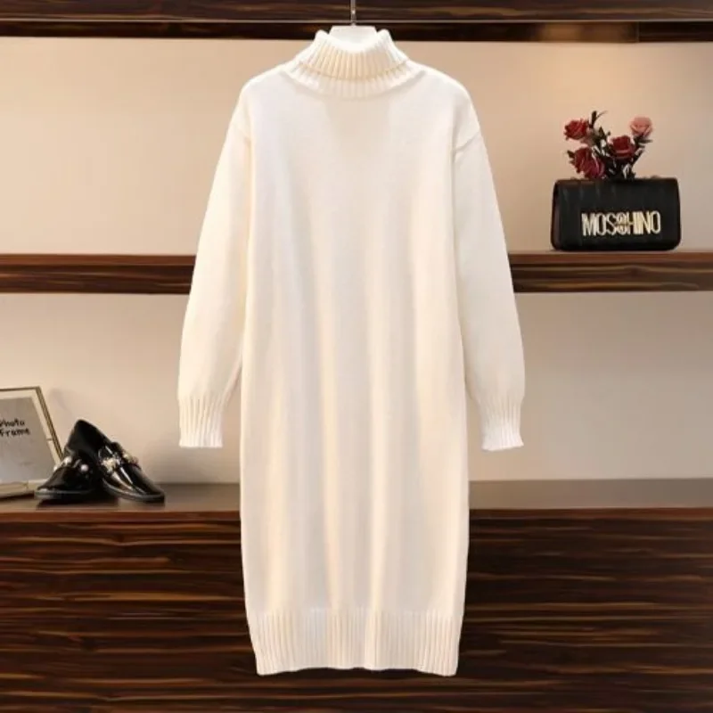 Women's sweater pullover long high neck thick knit long sleeved solid color warm cute autumn and winter college style base XQ91
Women's sweater pullover long high neck thick knit long sleeved solid color warm cute autumn and winter college style base XQ91