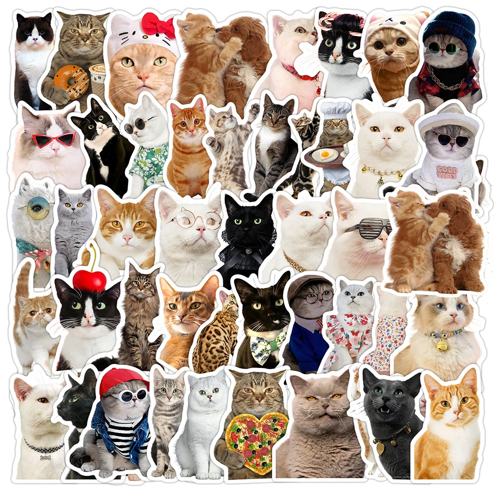 10/30/50pcs Funny Cartoon Animal Cat Meme Stickers Cute Decoration Decals Water Bottle Guitar Luggage Phone PVC Graffiti Sticker
10/30/50pcs Funny Cartoon Animal Cat Meme Stickers Cute Decoration Decals Water Bottle Guitar Luggage Phone PVC Graffiti Sticker