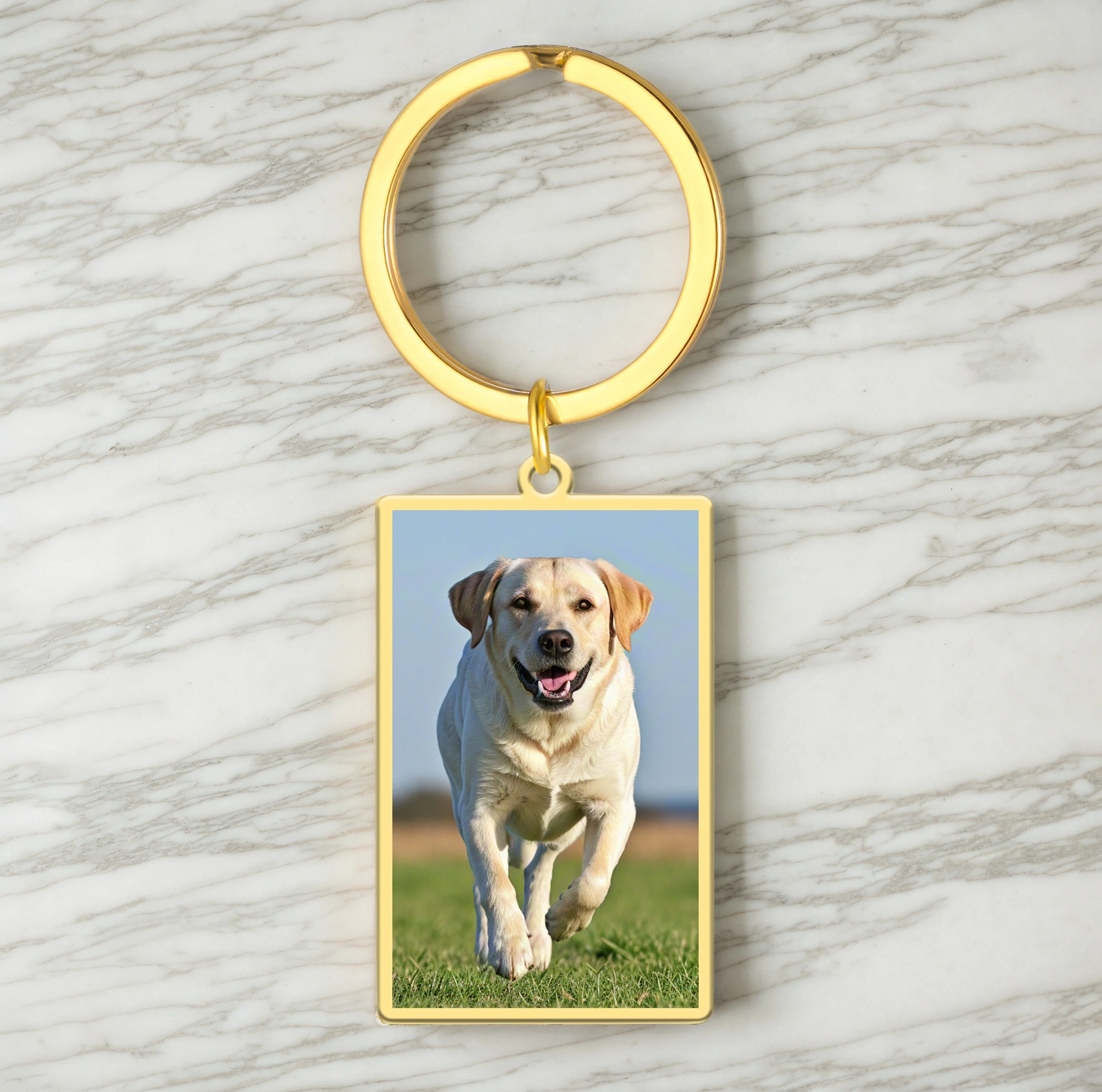 Dreamtimes Personalized Custom Picture Stainless Steel Rectangular Photo Dog Cat Pet Photo Keychain Jewelry Birthday Gift
Dreamtimes Personalized Custom Picture Stainless Steel Rectangular Photo Dog Cat Pet Photo Keychain Jewelry Birthday Gift