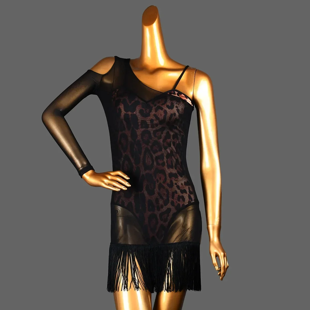 Adult Women Latin Dance Costumes smock coat transparent mesh top net yarn tassels dress Performance Modern Ballroom Dancewear
Adult Women Latin Dance Costumes smock coat transparent mesh top net yarn tassels dress Performance Modern Ballroom Dancewear