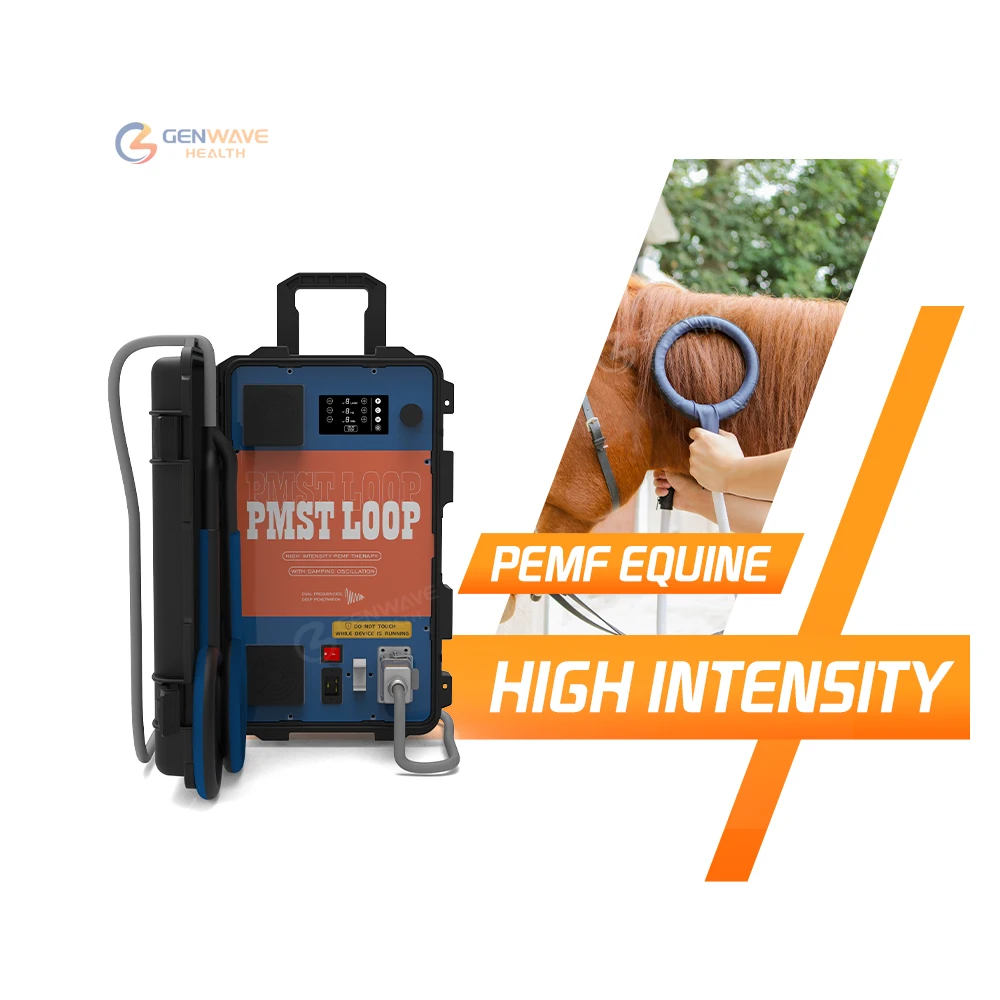 Pet Physiotherapy PMST Loop for Reducing Inflammation and Promoting Circulation in Dogs and Cats physiotherapy
Pet Physiotherapy PMST Loop for Reducing Inflammation and Promoting Circulation in Dogs and Cats physiotherapy