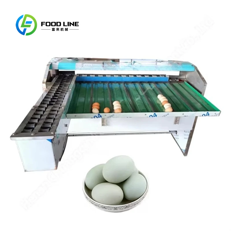 Industrial Stainless Steel Egg Grader Egg Grader
Industrial Stainless Steel Egg Grader Egg Grader