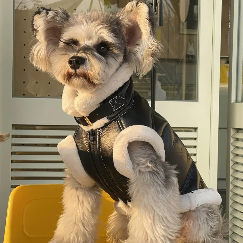 Pet Autumn Winter Velvet Sleeveless Vest Fur One-piece Coat Teddy Schnauzer Bichon Dog Thick VestPuppy Clothes for Small Dogs
Pet Autumn Winter Velvet Sleeveless Vest Fur One-piece Coat Teddy Schnauzer Bichon Dog Thick VestPuppy Clothes for Small Dogs