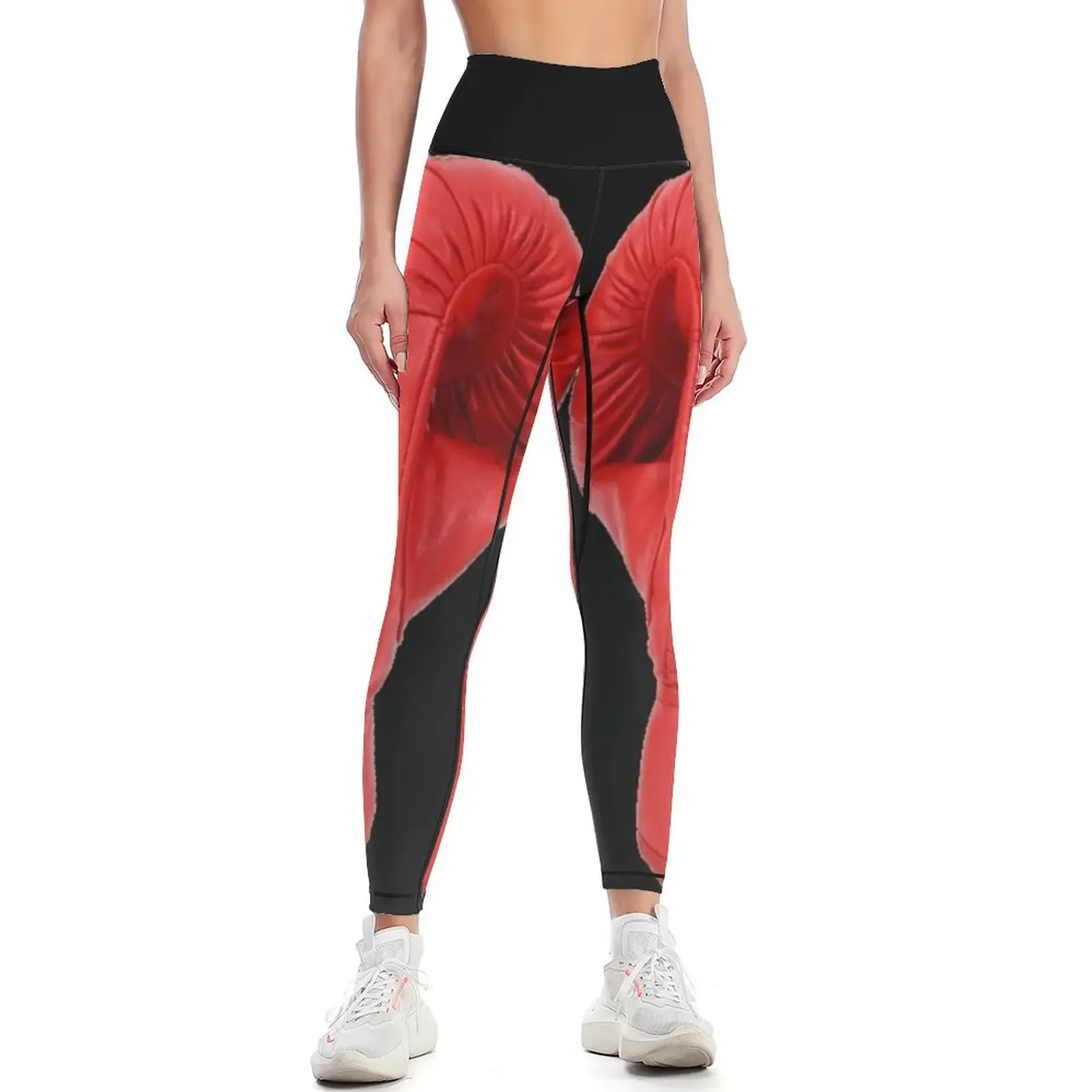 boxing - kickboxing Leggings Women's pants Golf wear sport pants exercise clothing for Womens Leggings
boxing - kickboxing Leggings Women's pants Golf wear sport pants exercise clothing for Womens Leggings
