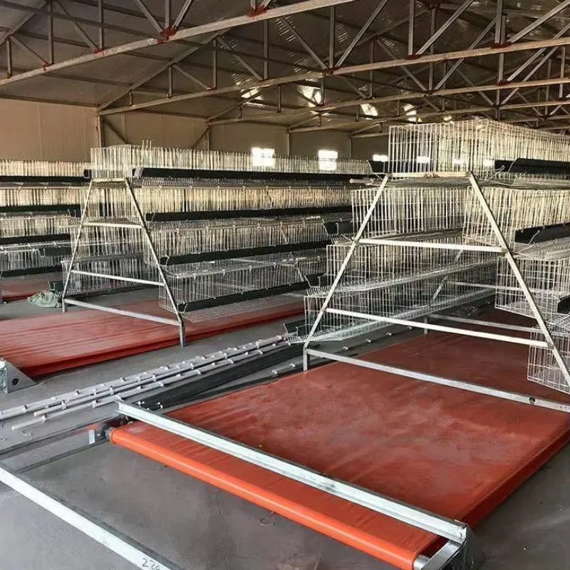 4 Tiers 160 Birds Chickens Automatic a Type Battery Egg Chicken Layer Chicken Cage for Layer Chicken Farm
4 Tiers 160 Birds Chickens Automatic a Type Battery Egg Chicken Layer Chicken Cage for Layer Chicken Farm