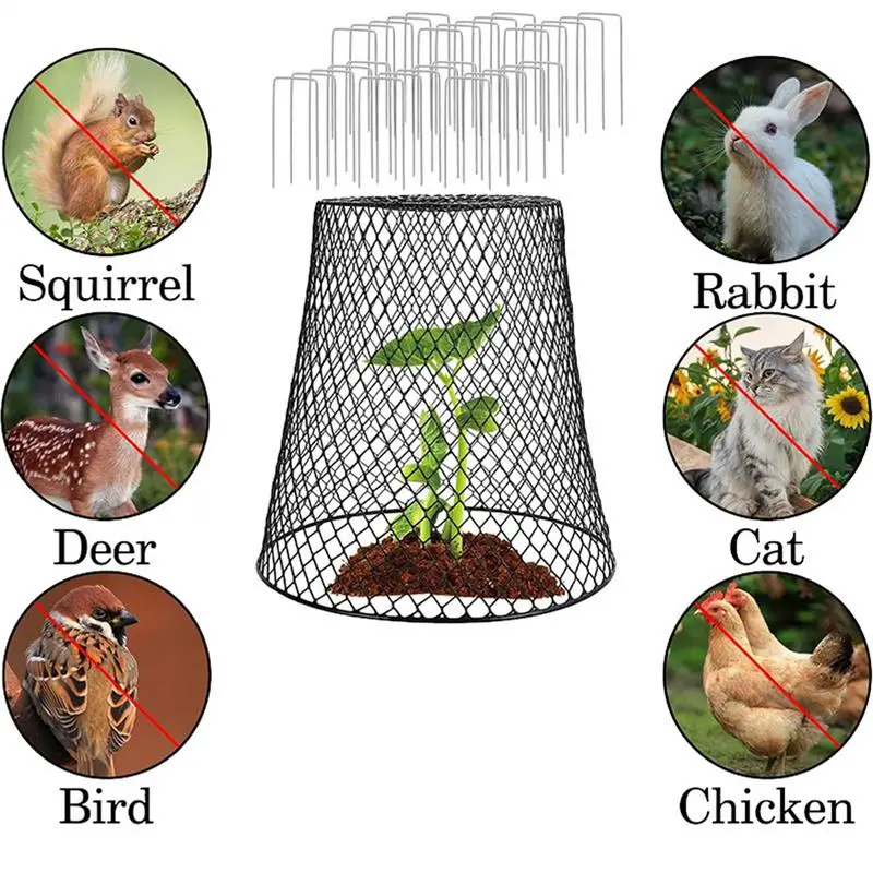 5pcs Wire Plant Protection Cover Garden Roof Seedlings Fruit And Vegetable Protection Cage Prevent Rabbits Chickens Squirrels
5pcs Wire Plant Protection Cover Garden Roof Seedlings Fruit And Vegetable Protection Cage Prevent Rabbits Chickens Squirrels