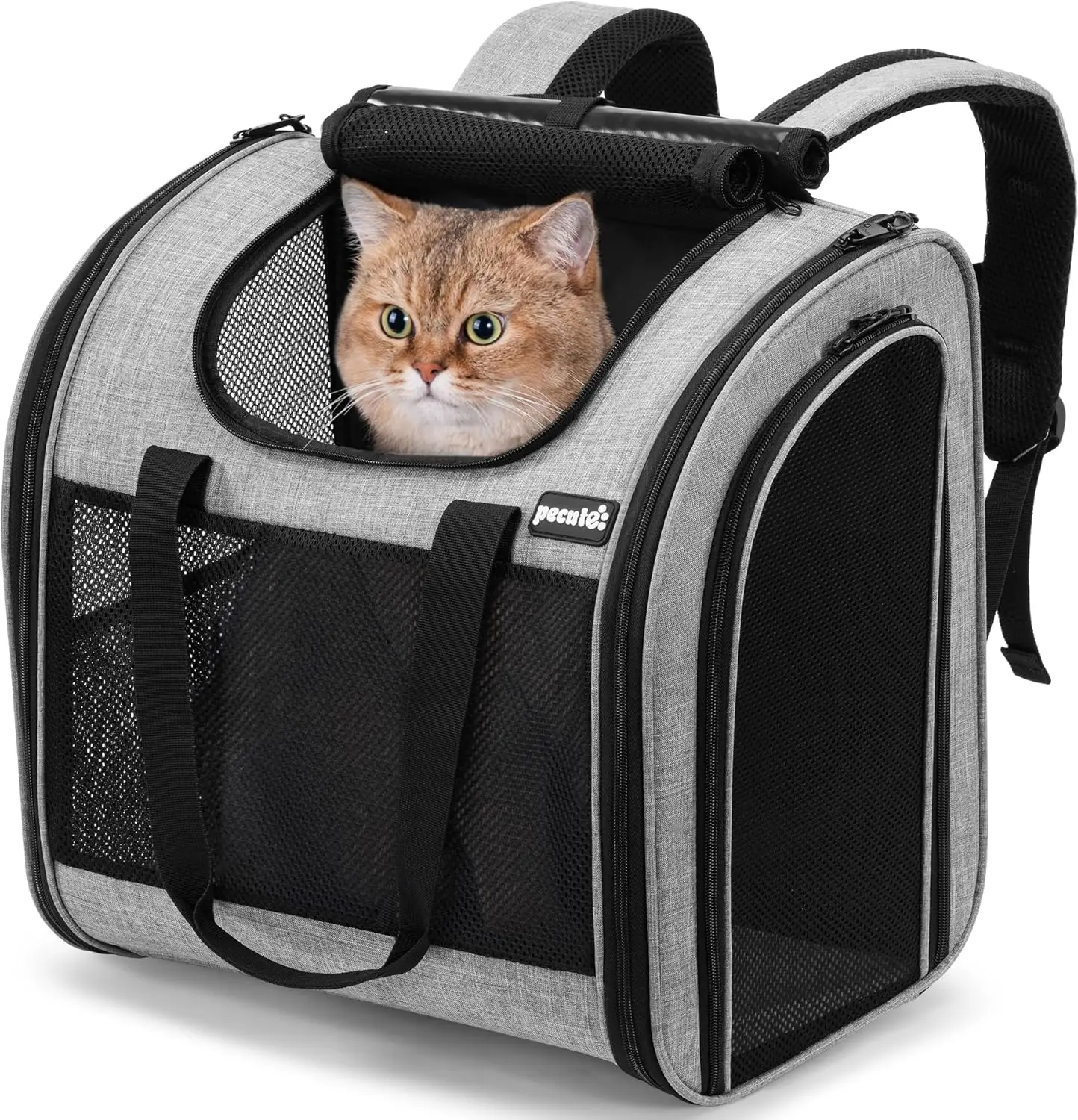 Cat Backpack with Widened Interior Space, Upgraded Dog Backpack Carrier with Various Ways to Carry, Pet Backpack with Breatha
Cat Backpack with Widened Interior Space, Upgraded Dog Backpack Carrier with Various Ways to Carry, Pet Backpack with Breatha
