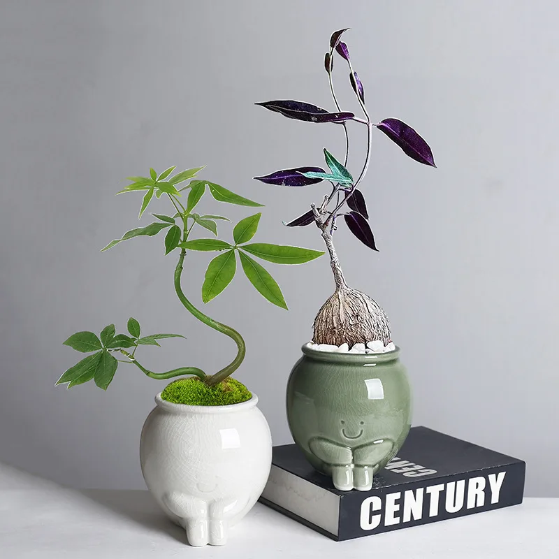 Nordic Modern Style Ceramic Flower Pot Plant Set Creative Ice Crack Glaze Ornaments Simple Personalized Office Desk Accessory
Nordic Modern Style Ceramic Flower Pot Plant Set Creative Ice Crack Glaze Ornaments Simple Personalized Office Desk Accessory