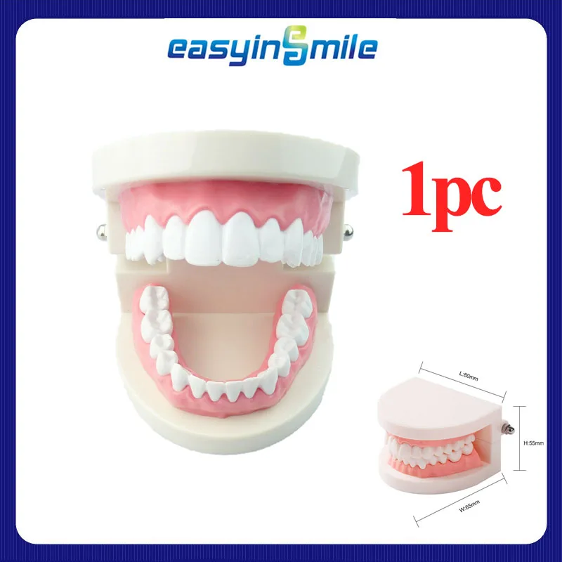 Стоматологическая модель, чистка зубов, образовательная модель, уход за зубами, гигиена полости рта, обучение, демонстрация, стоматология для детей
Стоматологическая модель, чистка зубов, образовательная модель, уход за зубами, гигиена полости рта, обучение, демонстрация, стоматология для детей