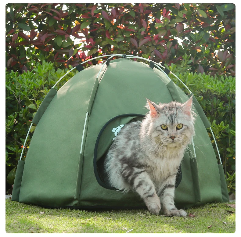 Customized Collapsible Pet Tent Rectangle Shape Winter Warm Summer Cool Universal for All Seasons 
Customized Collapsible Pet Tent Rectangle Shape Winter Warm Summer Cool Universal for All Seasons