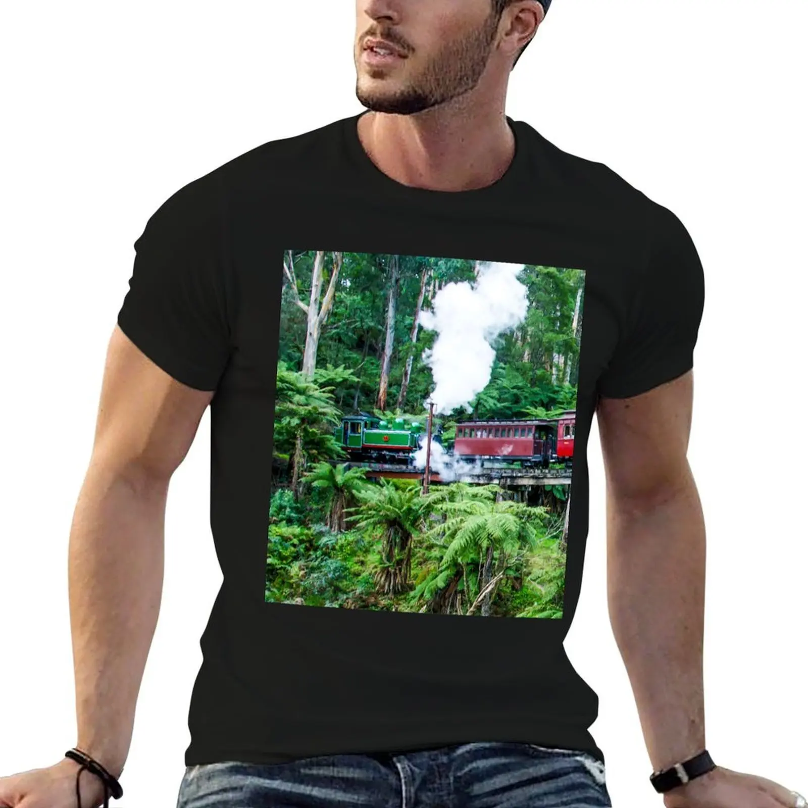 Puffing Billy Railway, Belgrave, Victoria, Australia T-Shirt t shirts for man graphic vintage t shirt for man T-Shirt
Puffing Billy Railway, Belgrave, Victoria, Australia T-Shirt t shirts for man graphic vintage t shirt for man T-Shirt