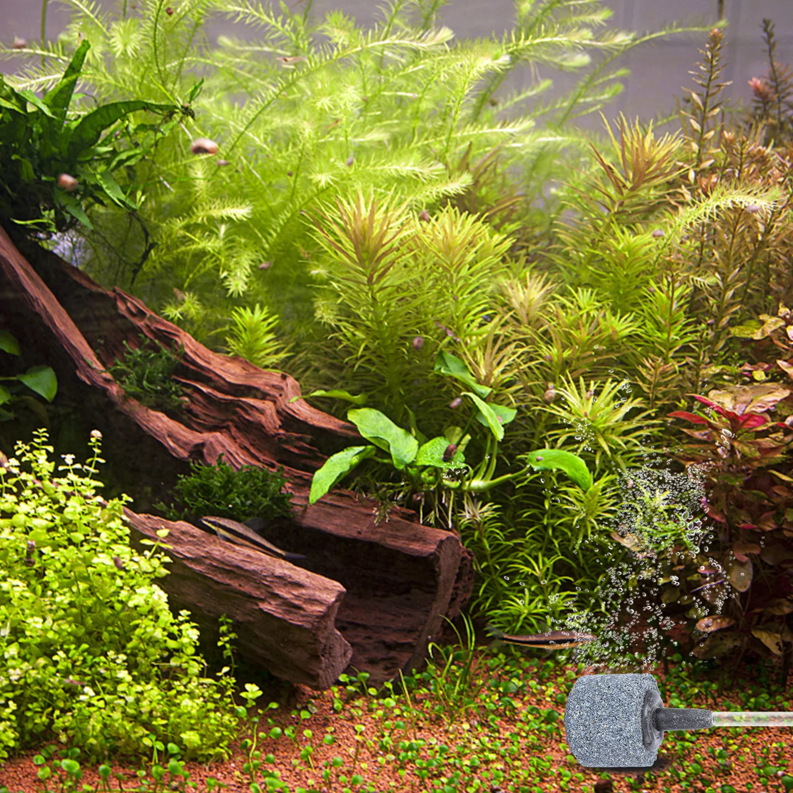 10Pcs Oxygen Air Stone Fish Tank Aquarium Bubble Diffuser Fish Tank Air Pump Pond Bubbler Oxygen Diffuser Pond Bubbler
10Pcs Oxygen Air Stone Fish Tank Aquarium Bubble Diffuser Fish Tank Air Pump Pond Bubbler Oxygen Diffuser Pond Bubbler