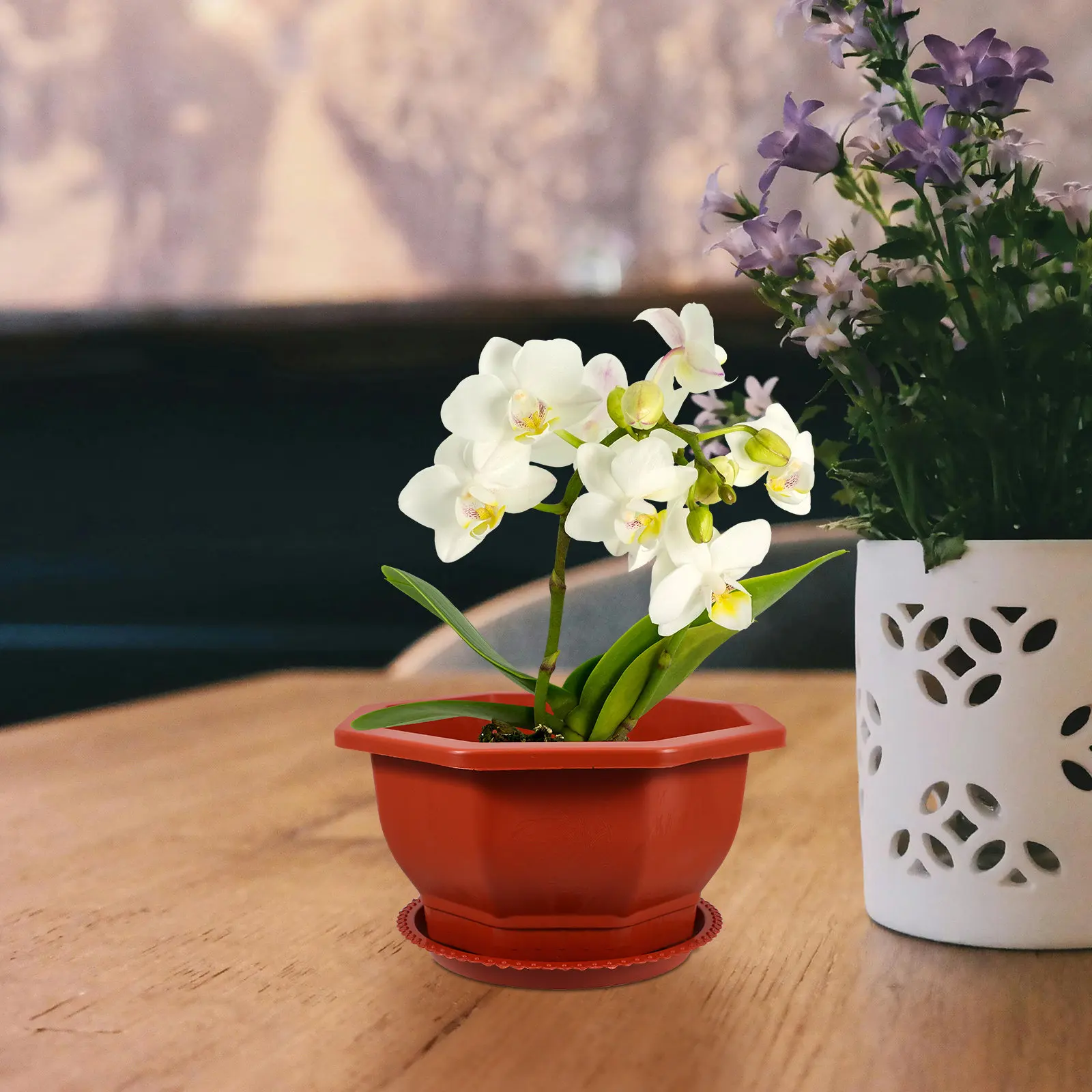 Набор из 5 красных восьмиугольных горшков для бонсай из толстого пластика с поддонами для комнатных растений, сада и выращивания деревьев бонсай
Набор из 5 красных восьмиугольных горшков для бонсай из толстого пластика с поддонами для комнатных растений, сада и выращивания деревьев бонсай